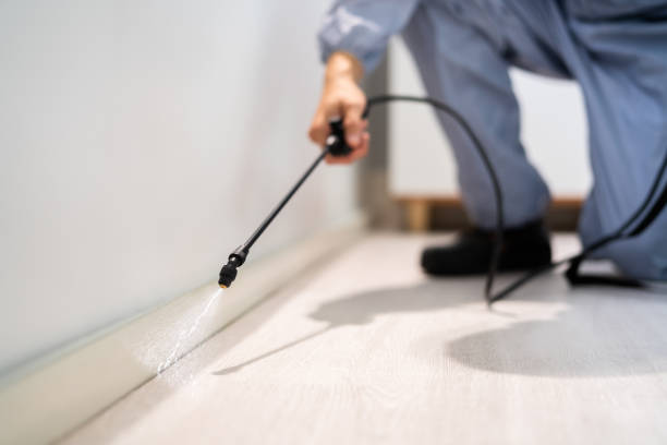 Certified termite inspector examining foundation in Burnsville